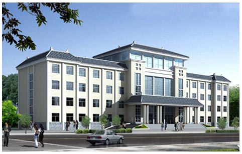 ��˾����